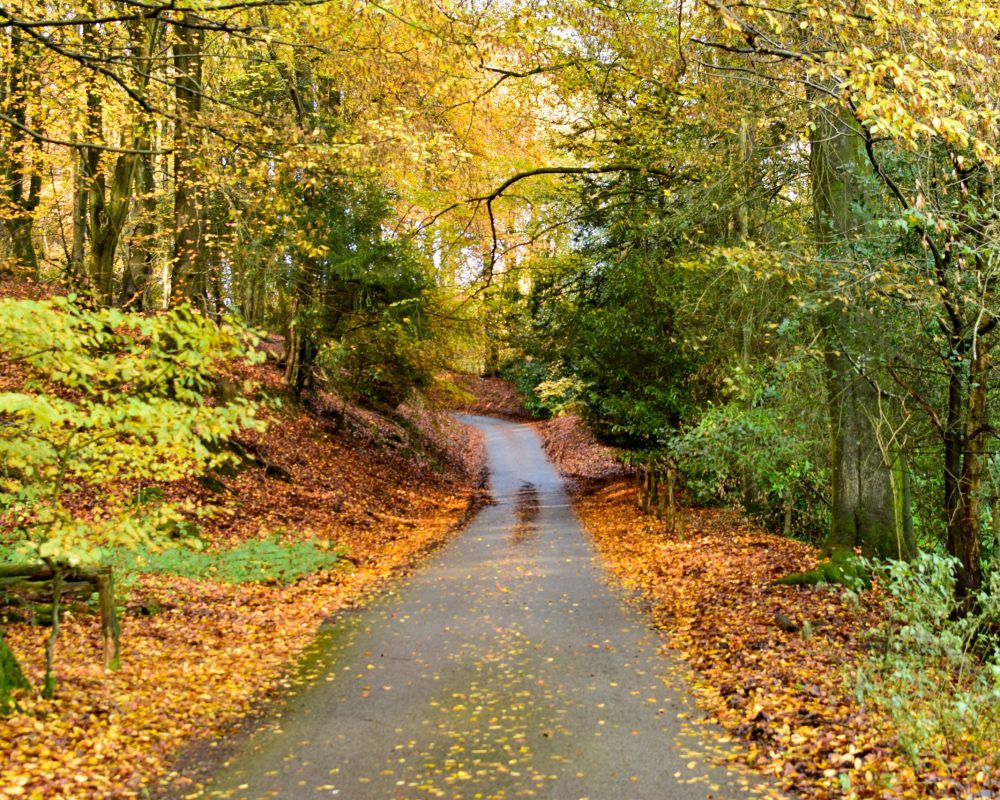 leith-hill-4619123